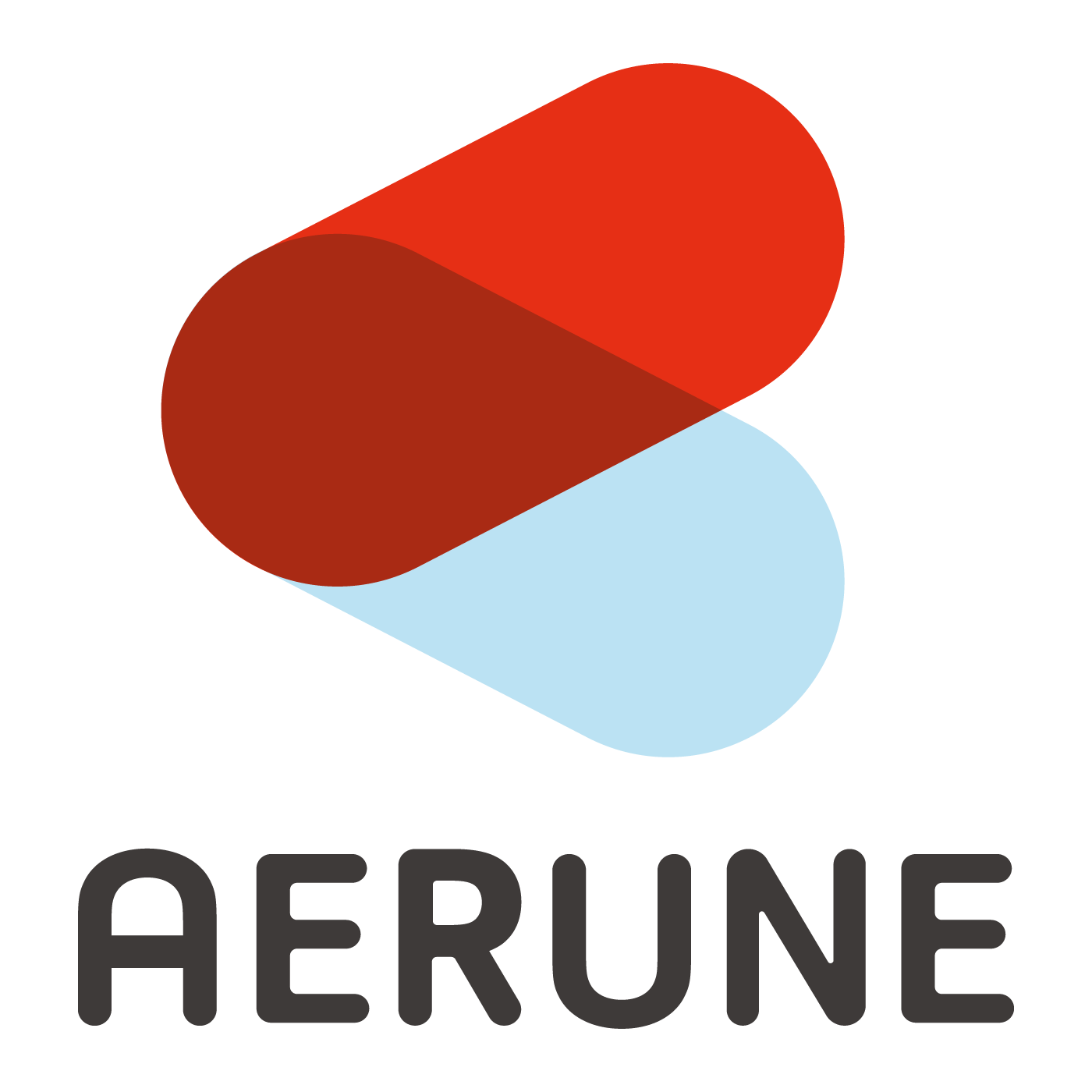 株式会社AERUNE
